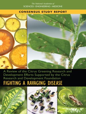 cover image of A Review of the Citrus Greening Research and Development Efforts Supported by the Citrus Research and Development Foundation